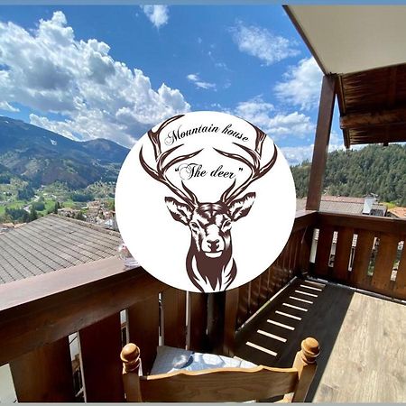Appartement Mountain House The Deer à Tesero Extérieur photo